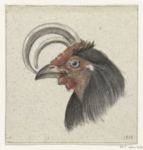 Cabeza de gallo de Jean Bernard