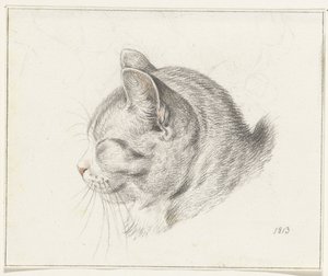 Cabeza de gato, a la izquierda