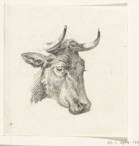 cabeza de vaca
