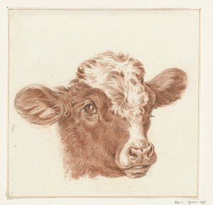 Cabeza de vaca de Jean Bernard