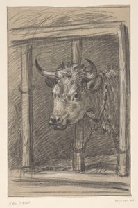 Cabeza de vaca, a través de los barrotes de un establo de Jean Bernard