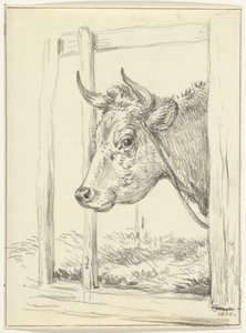 Cabeza de vaca, en un establo, a la izquierda de Jean Bernard