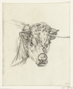 Cabeza de vaca, con un anillo en la nariz de Jean Bernard