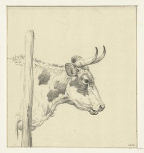 Cabeza de vaca, a la derecha de Jean Bernard