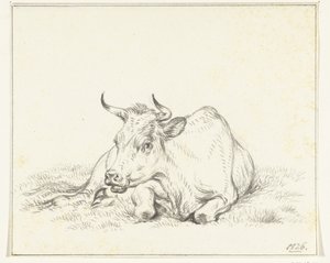 Vaca reclinada, de frente de Jean Bernard