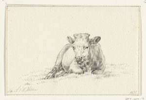 Vaca reclinada, de frente de Jean Bernard