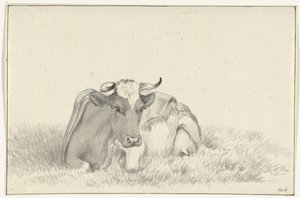 Vaca reclinada, de frente de Jean Bernard