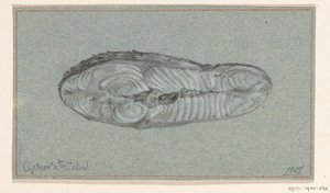 Filete de salmón cocido de Jean Bernard