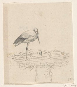 Cigüeña en nido de Jean Bernard