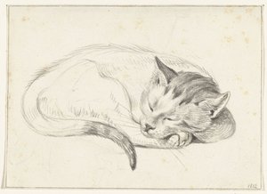 Gato dormido enrollado de Jean Bernard