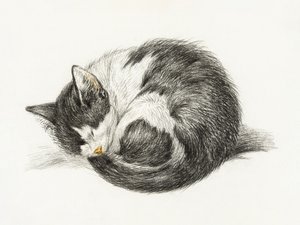 Gato acurrucado durmiendo (1825) de Jean Bernard