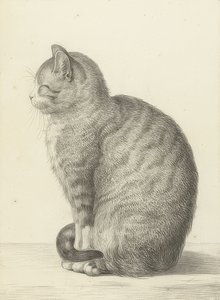 Gato sentado, hacia la izquierda