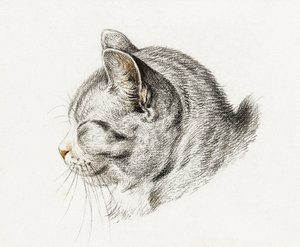 Boceto de un gato (1813) de Jean Bernard