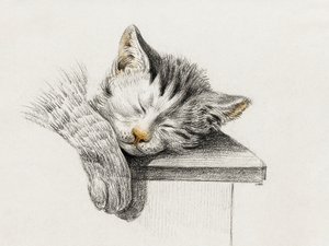 Boceto de un gato durmiendo de Jean Bernard