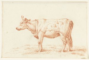 Vaca de pie, a la izquierda