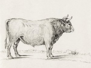 Toro de Pie de Jean Bernard