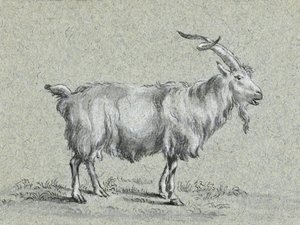 «Cabra de pie», de Jean Bernard de Jean Bernard