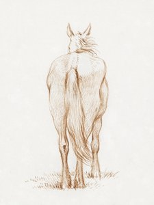 Caballo de pie (1815), de Jean Bernard