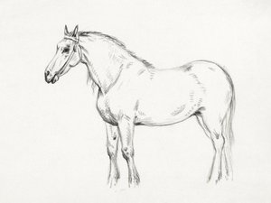 Caballo de pie (1818) de Jean Bernard