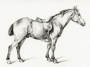 «Caballo de pie», de Jean Bernard (1775-1883) de Jean Bernard