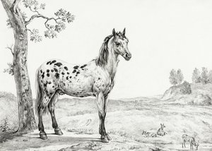 Caballo moteado de pie de Jean Bernard