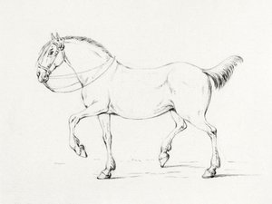 Caballo al paso (1775-1833) de Jean Bernard
