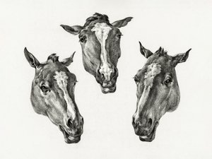 Tres cabezas de caballo (1812)