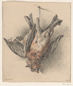 Dos pájaros muertos, colgados de una cuerda. de Jean Bernard