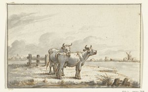 Dos vacas en el prado