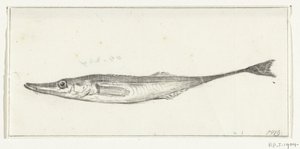 Vis de Jean Bernard