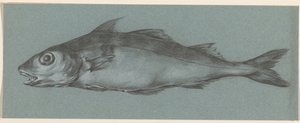 Los peces, a la izquierda de Jean Bernard
