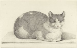 Gato sentado, a la derecha de Jean Bernard
