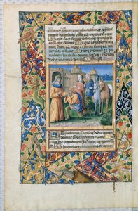 Ms Lat. Q.v.I.126 Escena de las 