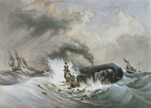 La ballena de Jean Francois (after) Garneray