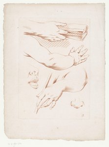 Composición con brazos, nariz y parte de una cara. Composiciones con partes del cuerpo humano (título de serie) de Jean Francois Janinet