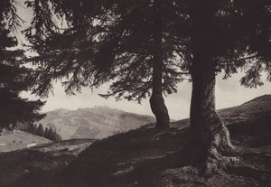 Rigi Staffel, sendero cerca de Staffel (foto b/n)