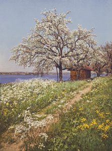 Suiza: May-Time (foto en color)