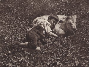 Suiza: Siesta (foto en blanco y negro)