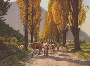 Suiza: El valle del Ródano, cerca de Visp (foto en color)