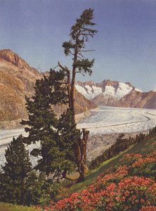Suiza: Vista del glaciar Aletsch y del Fiescherhorner de Jean Gaberell