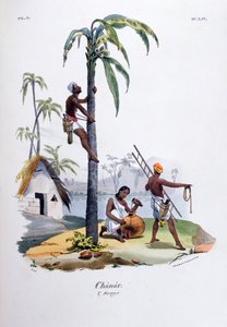 Chanar, 1828 de Jean Henri Marlet