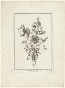 Ramo de anémona y correhuela Anémonas simples, Volubilis (título sobre objeto) IIe Cahier de Bouquets (título de la serie) de Jean Jacques Avril (I)