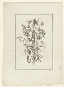 Ramo de narcisos y enredaderas Narciso, Volubilis (título sobre objeto) IIe Cahier de Bouquets (título de la serie) de Jean Jacques Avril (I)