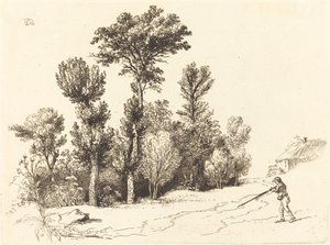 Pequeño Bosque del Cazador