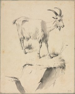 Estudio de una cabra de Jean Jacques de Boissieu