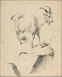Estudio de una cabra, 1700s de Jean Jacques de Boissieu