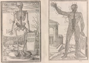 De dissectione partium corporis humani libri tres, 1545 de Jean Jollat