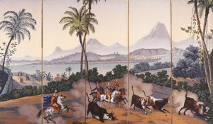 Vistas de Brasil, c.1829-35 de Jean Julien Deltil