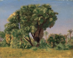 Estudio de palmeras de Jean Leon Gerome