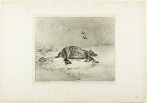 Caballo muerto de Jean Louis André Théodore Géricault